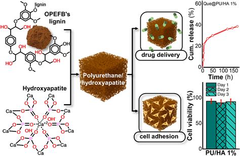  Dextran: Un biomateriale rivoluzionario per la fabbricazione di scaffold cellulari e la progettazione di sistemi di rilascio controllato di farmaci!