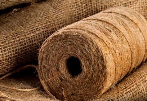  Jute: La Magia di un Fibra Naturale nell'Industria Tessile Moderna!