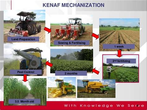 Kenaf: Redefining Sustainable Manufacturing Processes for Lightweight and Durable Applications!