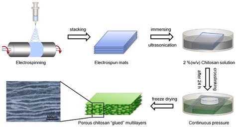 Resorbable Polymers: A Revolution in Biocompatible Scaffolds and Guided Tissue Regeneration!