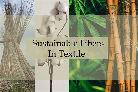 Yucca Fiber:  Unraveling its Sustainable Potential for High-Performance Textile Applications!